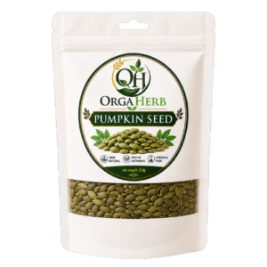 Pumpkin Seed