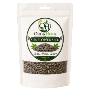 Sunflower Seed
